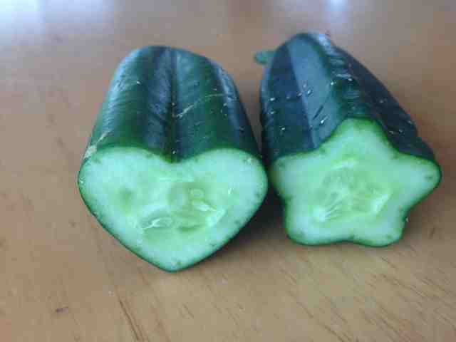 ���́E�E�E�����ԈȊO�ɂ��E�E�E