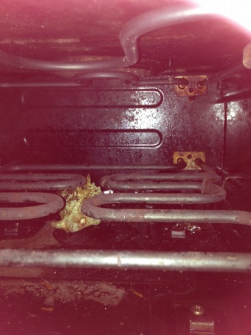 ������Ƃ������ƂŁE�E�E�B